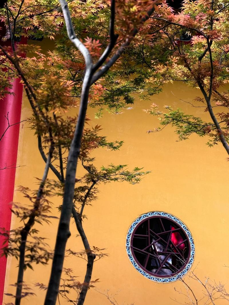 阴宅根据什么来阴向 阴宅根据什么来阴向