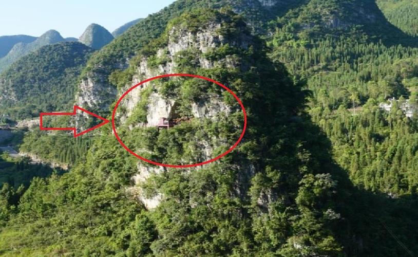 法字是什么五行?取名字中有法字的含义 法字是什么五行?取名字中有法字的含义