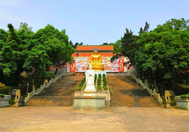 十二生肖分为哪几种属相,十二生肖中有哪几种(大概一共有多少个生肖属相) 十二生肖分为哪几种属相,十二生肖中有哪几种(大概一共有多少个生肖属相)