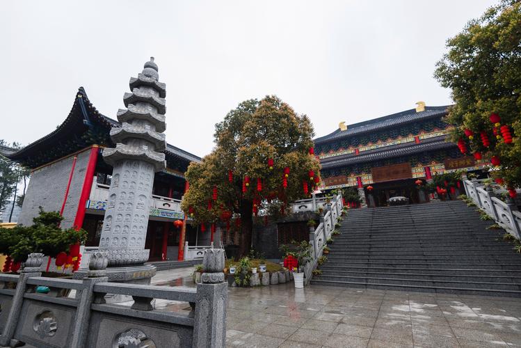 别墅园内外的种植风水 别墅园内外的种植风水