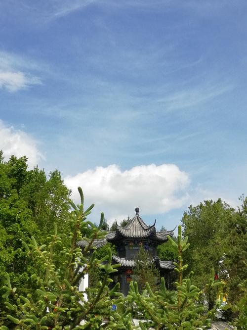 十二生肖马的命运 十二生肖马的命运