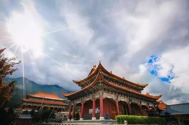 周公解梦解读梦见蛇与兄长预示与象征意义分析 周公解梦解读梦见蛇与兄长预示与象征意义分析