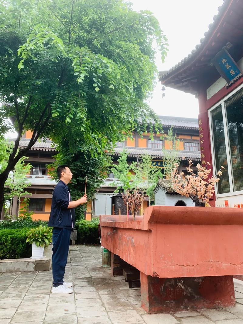 农村房屋门前种树风水禁忌(风水禁忌之大门口种树有什么讲究 ) 农村房屋门前种树风水禁忌(风水禁忌之大门口种树有什么讲究 )