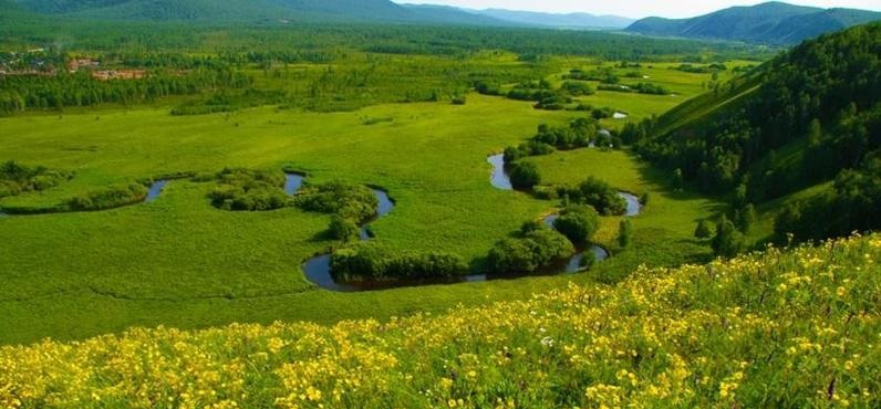 持续放生可改变住宅风水 持续放生可改变住宅风水