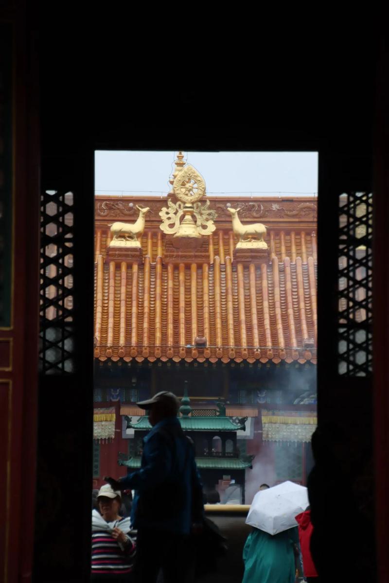 阴宅柏树如何栽种 阴宅柏树如何栽种