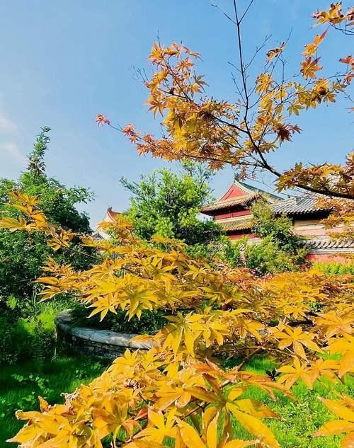 甲山庚向替卦阴宅 甲山庚向替卦阴宅