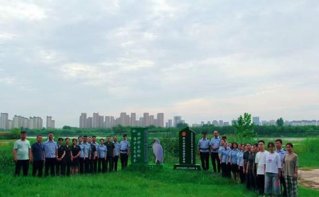 2025年属羊的运势情况 2025年属羊的运势情况