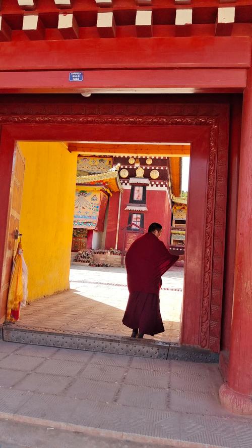 男人养龟为什么对女人不好,养乌龟会对人造成 男人养龟为什么对女人不好,养乌龟会对人造成