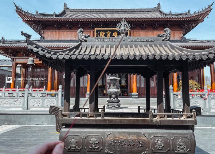 狮子王辛巴52集动画片 狮子王辛巴52集动画片