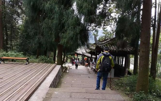 秦岚演过的电视剧有哪些 秦岚演过的电视剧有哪些