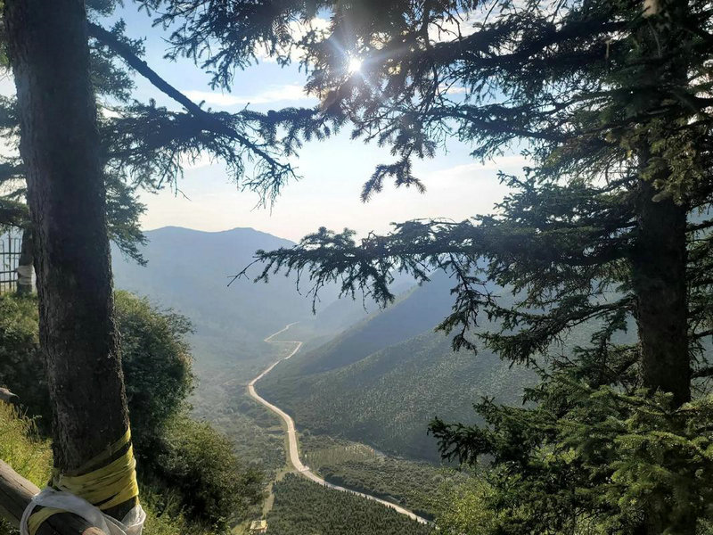 阴宅风水里朝山是什么 阴宅风水里朝山是什么