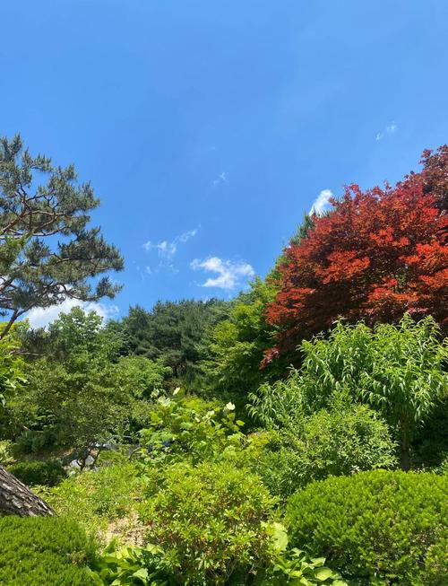 现在农村别墅的风水如何 现在农村别墅的风水如何