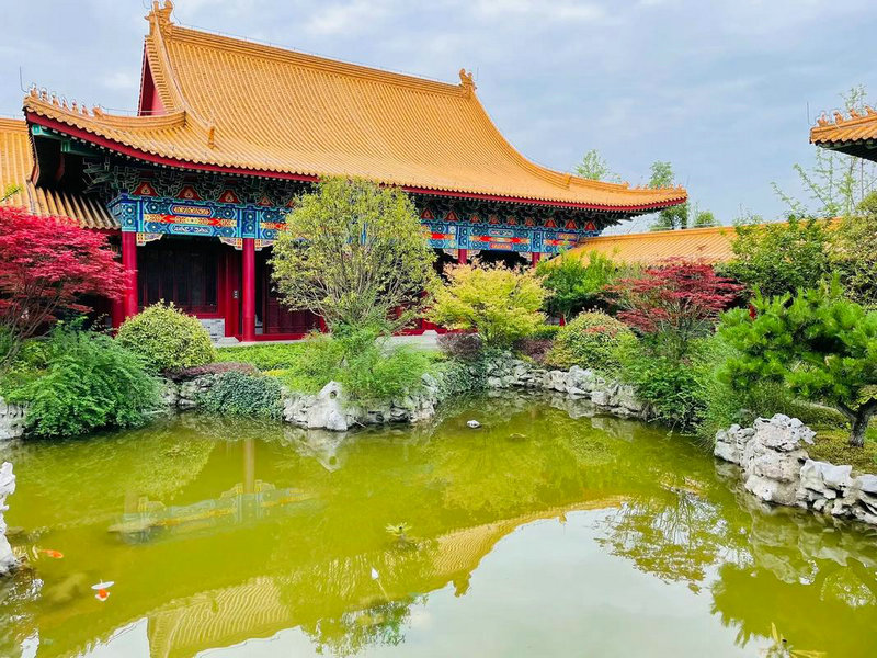 贵妇的面相特点 贵妇的面相特点
