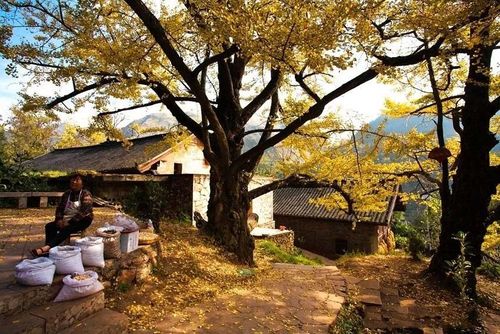 何家劲电视剧何家劲电视剧大全在线观看 何家劲电视剧何家劲电视剧大全在线观看