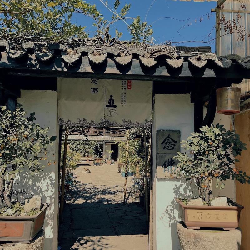 最痛恨的生肖有哪些属相(十二生肖什么动物是深仇大恨) 最痛恨的生肖有哪些属相(十二生肖什么动物是深仇大恨)