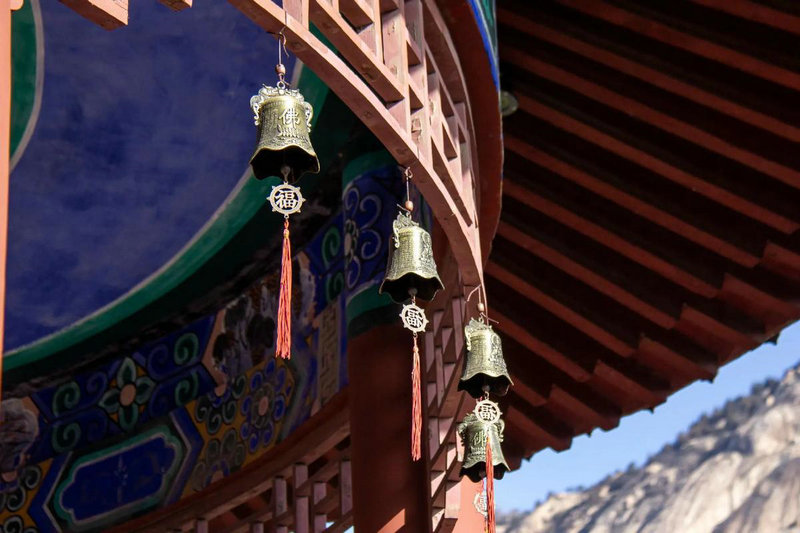 12生肖人最适合养什么风水鱼 12生肖人最适合养什么风水鱼