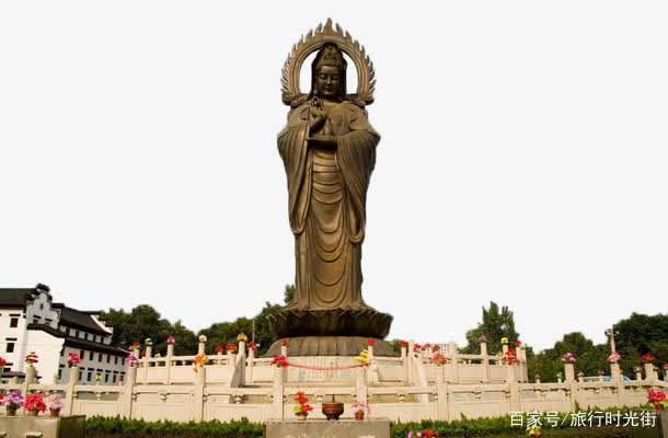 梦中之盆选择指南与实用概览 梦中之盆选择指南与实用概览