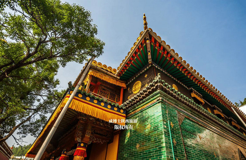 95年7月属猪的婚配,95年属猪的和什么属相最配 95年7月属猪的婚配,95年属猪的和什么属相最配