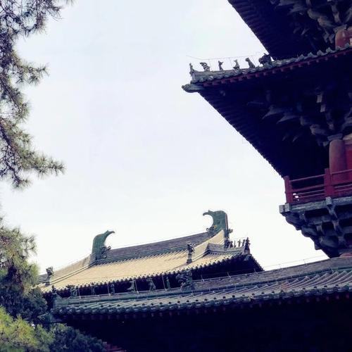 梦见自己在家里做棺材 梦见黑色棺材是什么兆头 梦见自己在家里做棺材 梦见黑色棺材是什么兆头