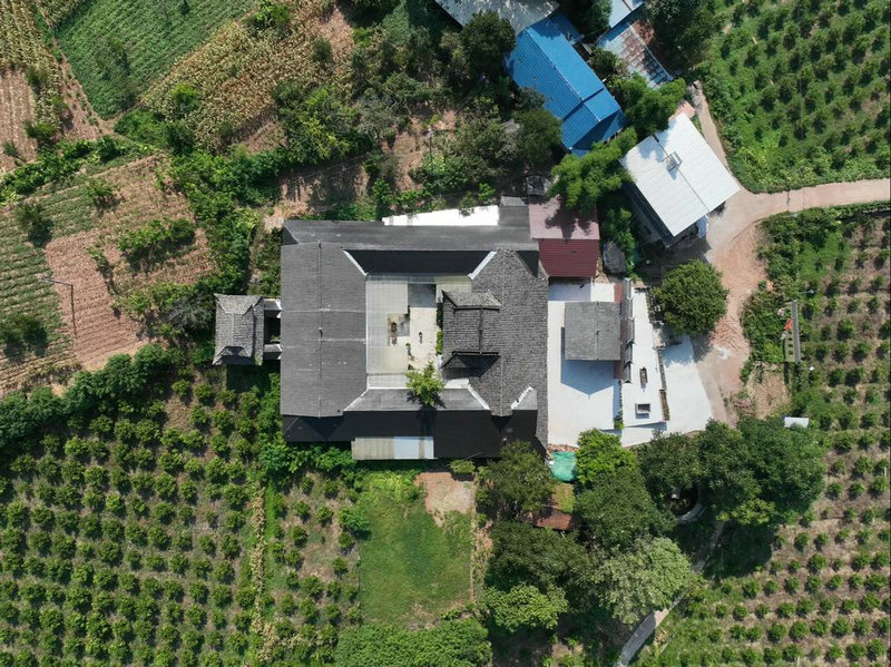 别墅庭院绿植盆栽摆放风水 别墅庭院绿植盆栽摆放风水