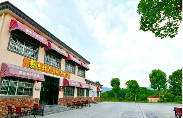央视小尼个人资料简历 央视小尼个人资料简历