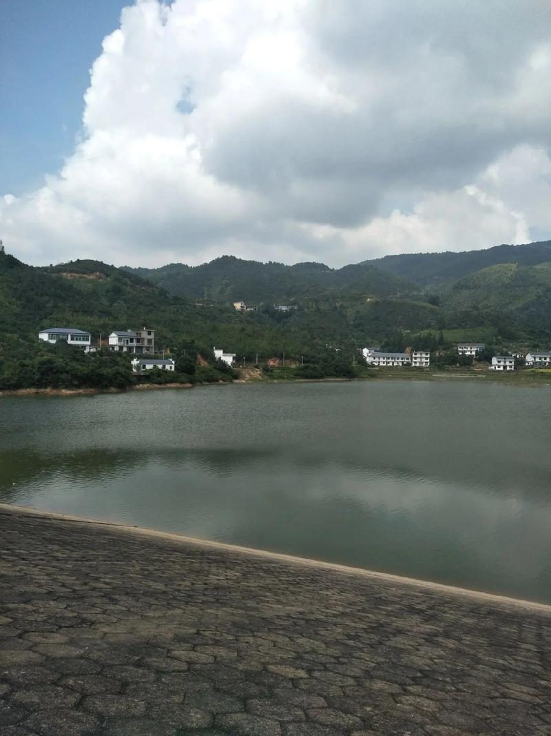 中国居士风水命理测试视频中国最权威的风水师是谁 有详细资料介绍吗 中国居士风水命理测试视频中国最权威的风水师是谁 有详细资料介绍吗