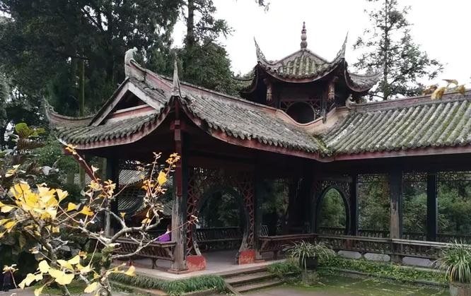 为什么感觉林一喜欢徐璐 为什么感觉林一喜欢徐璐