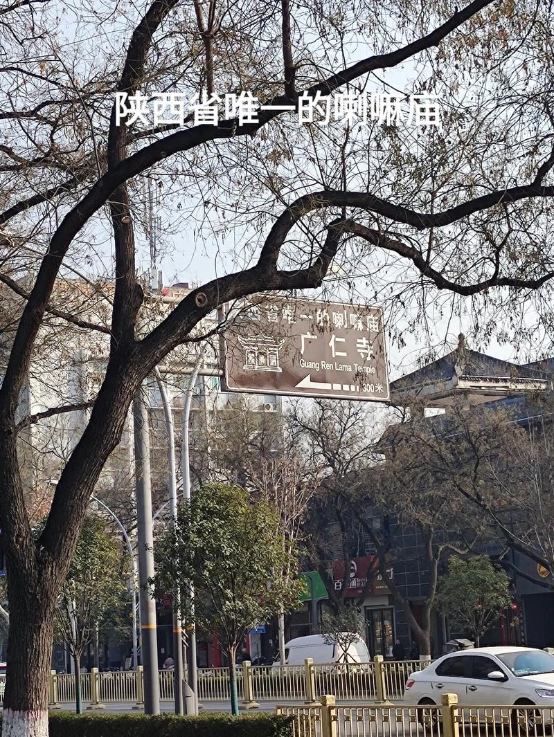 怎么引导金牛座 怎么引导金牛座
