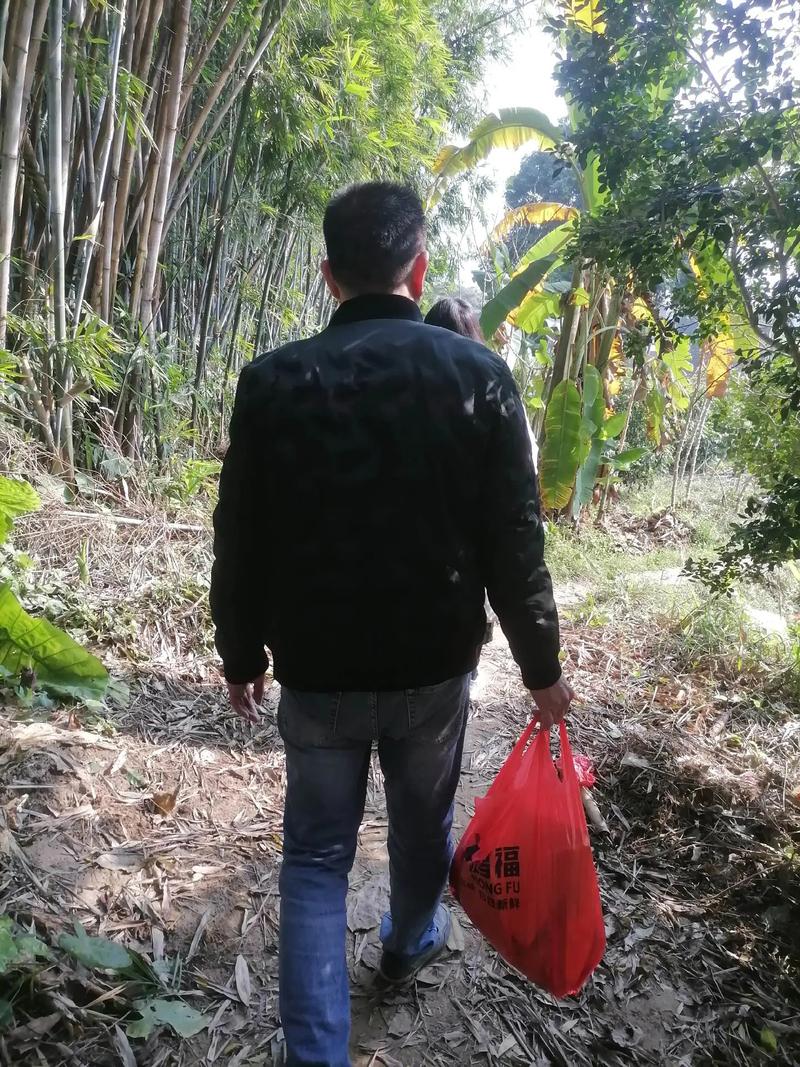 会导致破财的家居风水事项如何看 会导致破财的家居风水事项如何看