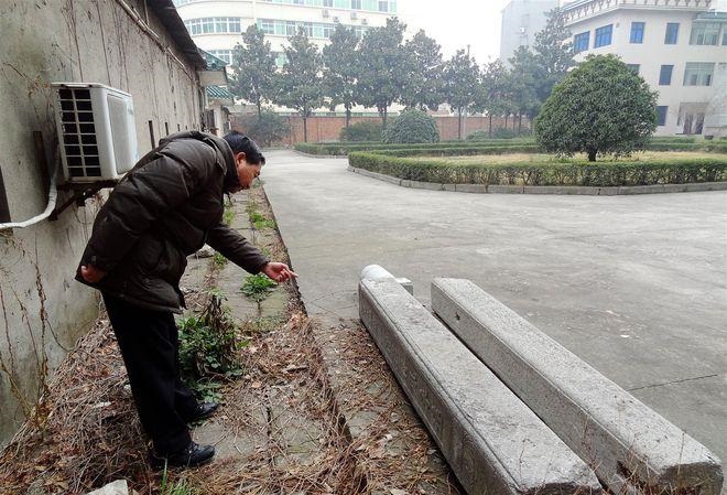 卧室财位上放什么最招财,卧室财位放什么好,搜狗 卧室财位上放什么最招财,卧室财位放什么好,搜狗