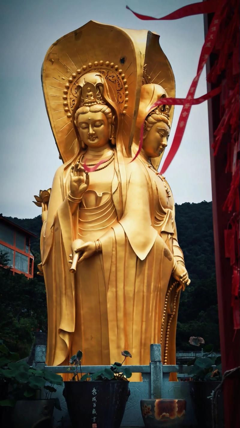 为什么说字不能取名 字取名起名大全 为什么说字不能取名 字取名起名大全