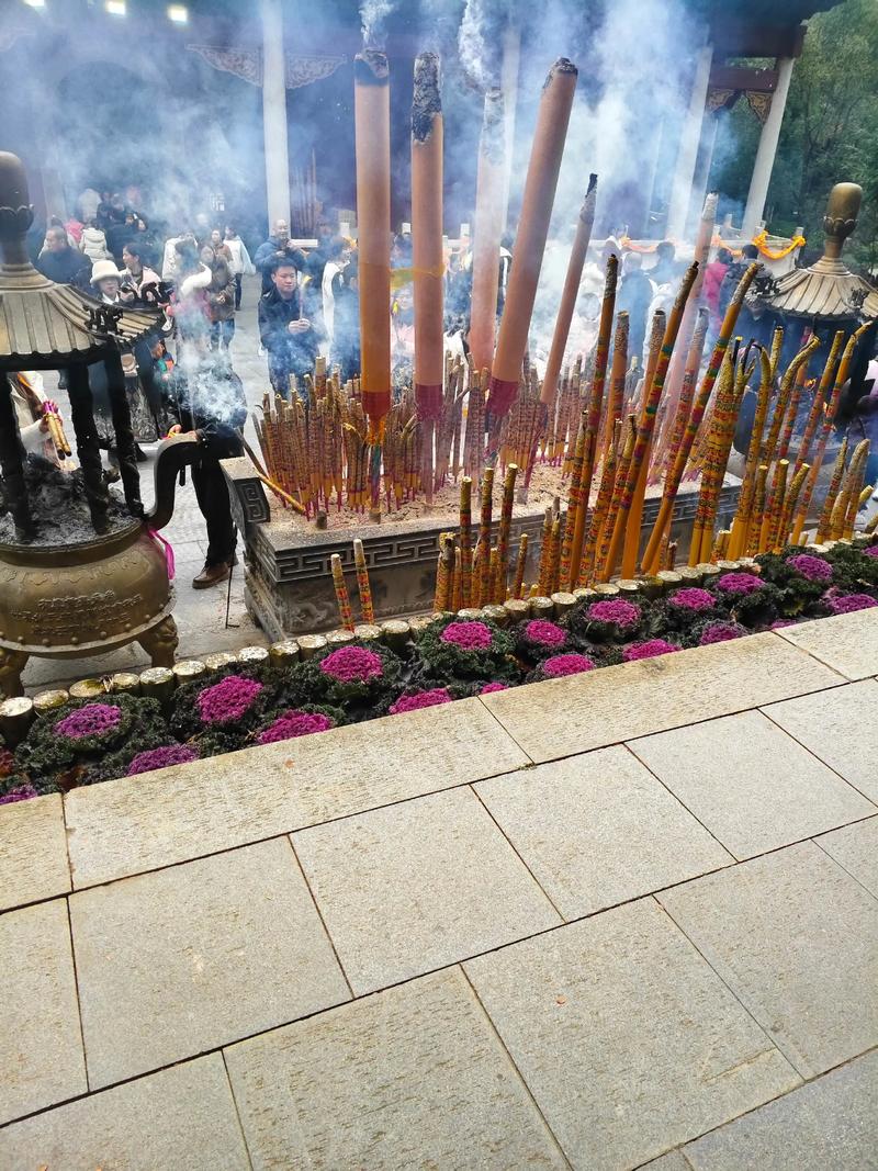 狮子座花心指数 狮子座花心指数