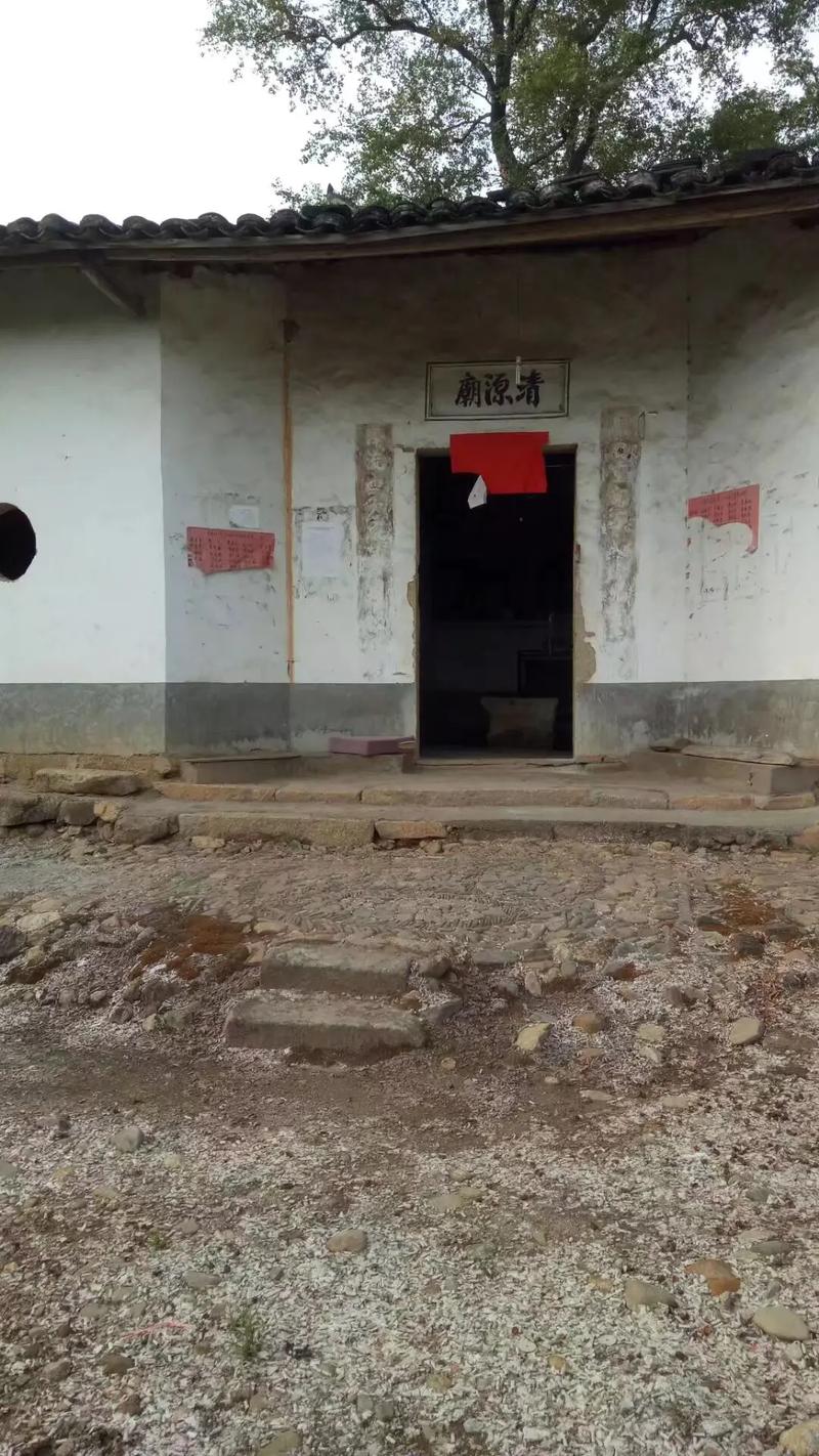 属虎女婚配属猴男命运怎么样,属虎的男和属猴 属虎女婚配属猴男命运怎么样,属虎的男和属猴