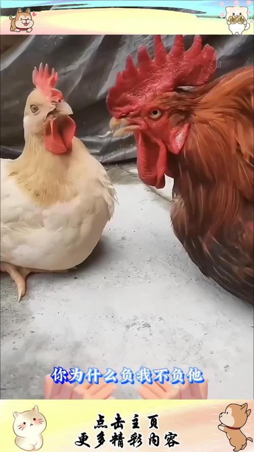���ݷ�ˮ��˾����ЩƷ��