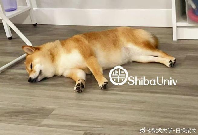 一月几号生辰八字算命最准(如何推算生辰八字) 一月几号生辰八字算命最准(如何推算生辰八字)