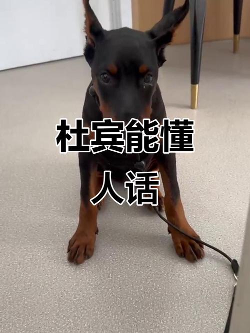 �������ʲô �������ô��