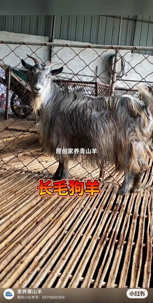 家里进门对面墙挂什么画好 十大最旺家的玄关挂画 家里进门对面墙挂什么画好 十大最旺家的玄关挂画