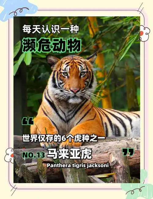 ��լ��ʮ����������ζ�