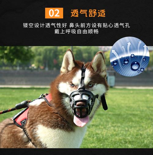 男人胡须看吉凶 胡须吉凶 男人胡须看吉凶 胡须吉凶