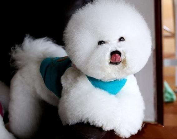 今日处暑 处暑之后天气还炎热吗 今日处暑 处暑之后天气还炎热吗