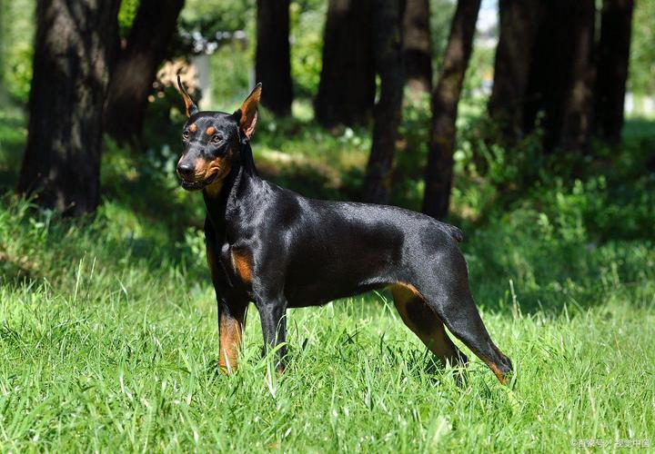 ���������Ƿ��Ӱ���ҵĳ��ƺ�ѡ�����߲鳵�ƺż��ײ�ѯ��ȫ�ܷ��ṩ�м�ֵ��ָ���ͽ���
