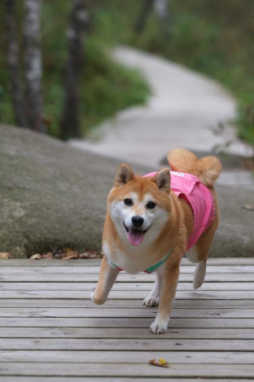 ������ȷ��Դ������Ф