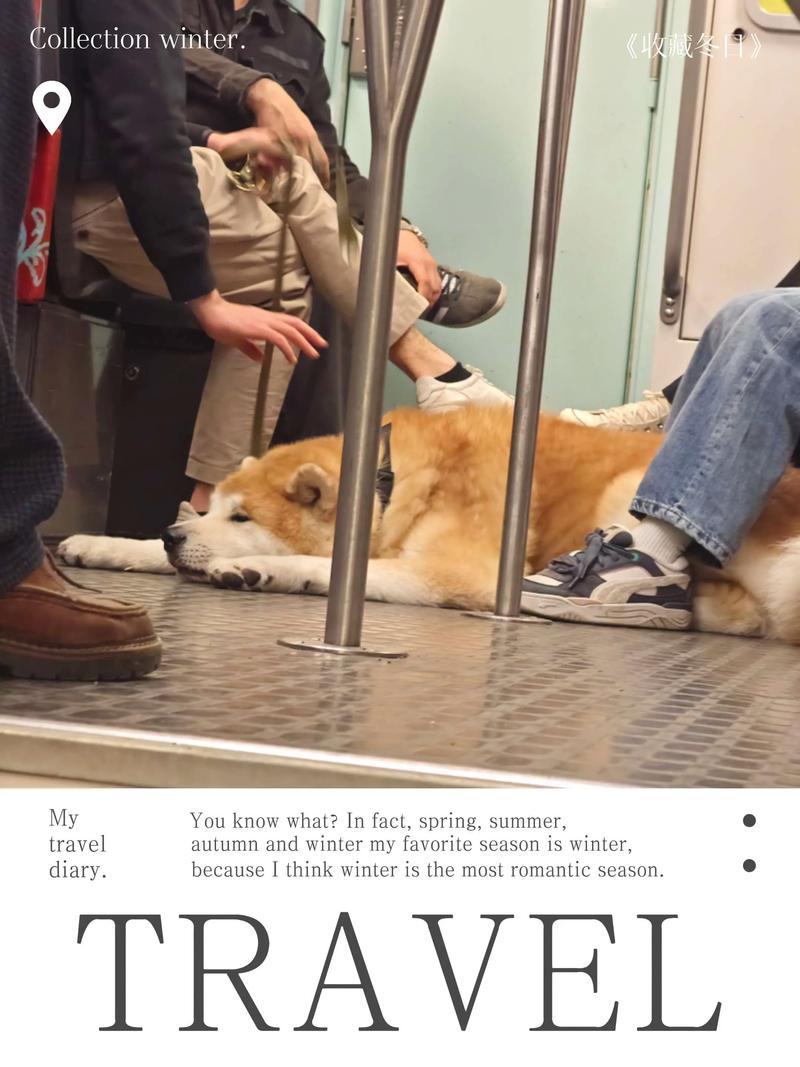 ������������ʱ��ο��ǰ������ص�Ӱ������(����������������������кι�����Ӱ��������)
