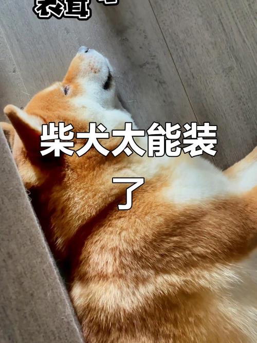 紫微斗数四化星变化 紫微斗数四化星变化