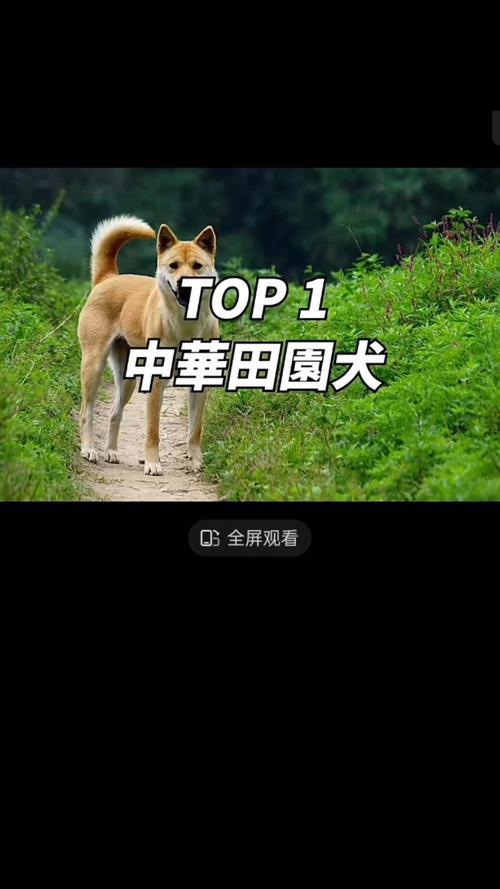 �������ֲ��������������ô���(��ʦ���������ֻ���)