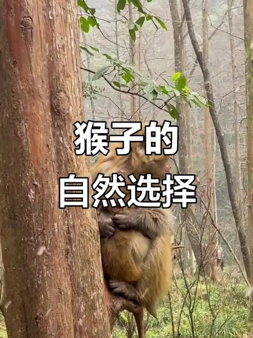 如何查手机号码吉凶查询 手机吉利号码 如何查手机号码吉凶查询 手机吉利号码