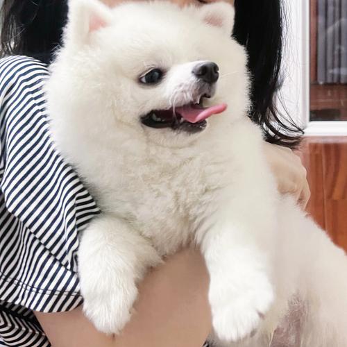 属牛的人2013年运程详批 属牛的人2013年运程详批