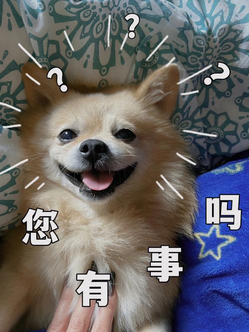 客厅挂书画风水禁忌 客厅挂书画风水禁忌