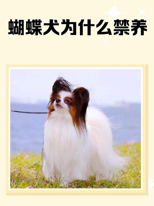 处女女喜欢上你的表现 处女女喜欢上你的表现