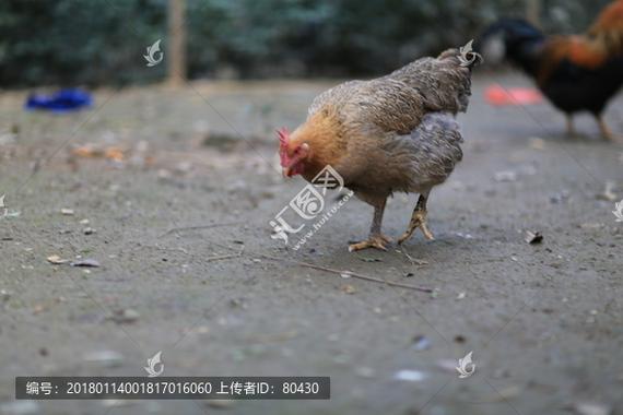 卧室过门衣柜摆放风水禁忌有哪些 (卧室装修衣柜颜色风水禁忌) 卧室过门衣柜摆放风水禁忌有哪些 (卧室装修衣柜颜色风水禁忌)
